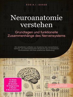 cover image of Neuroanatomie verstehen